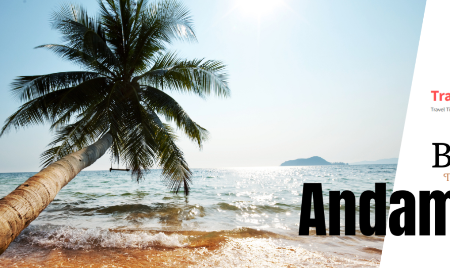 Best Time To Visit Andaman Island