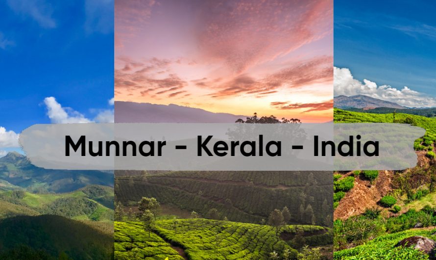 Munnar Best Time to Visit