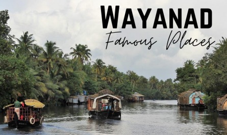 Wayanad Famous Places