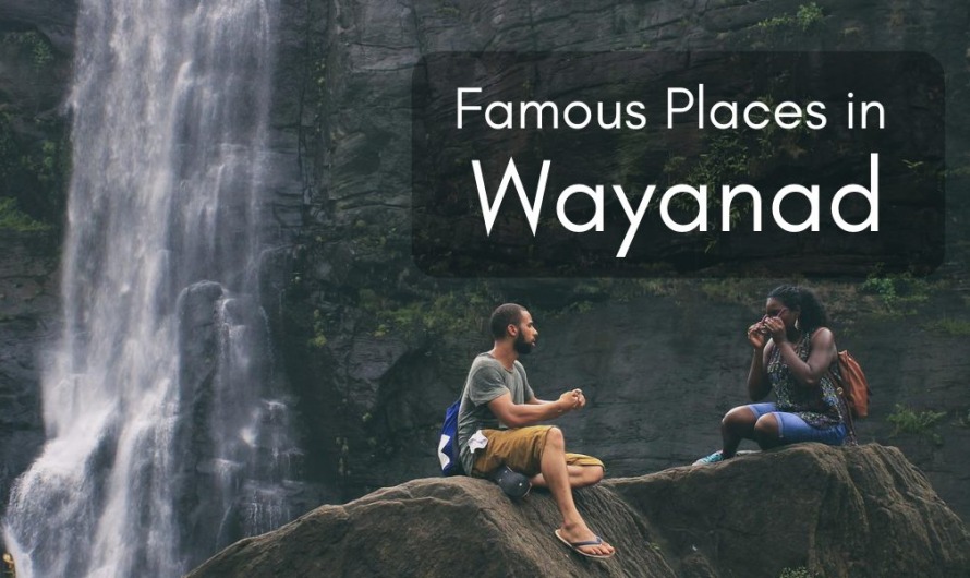 Famous Places in Wayanad