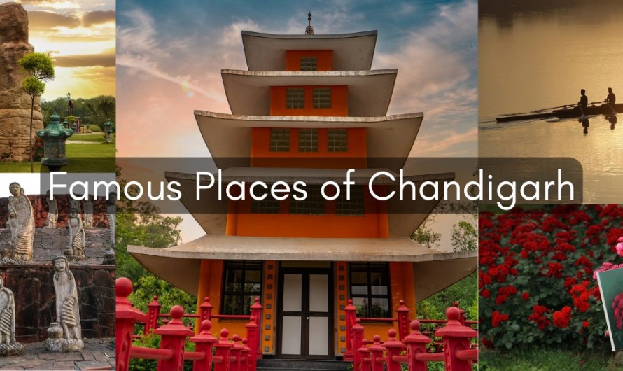 Famous Places of Chandigarh