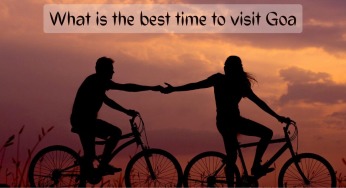 What is the best time to visit Goa