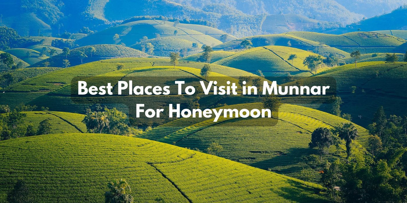 Best Places To Visit in Munnar For Honeymoon